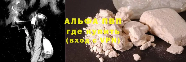 PSILOCYBIN Магас