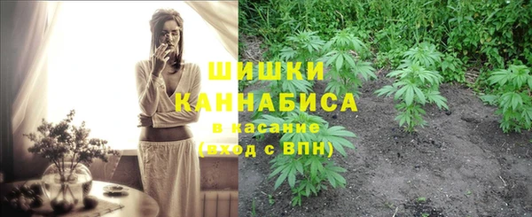 PSILOCYBIN Магас
