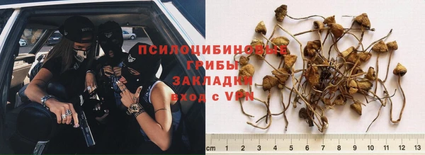 мескалин Алзамай