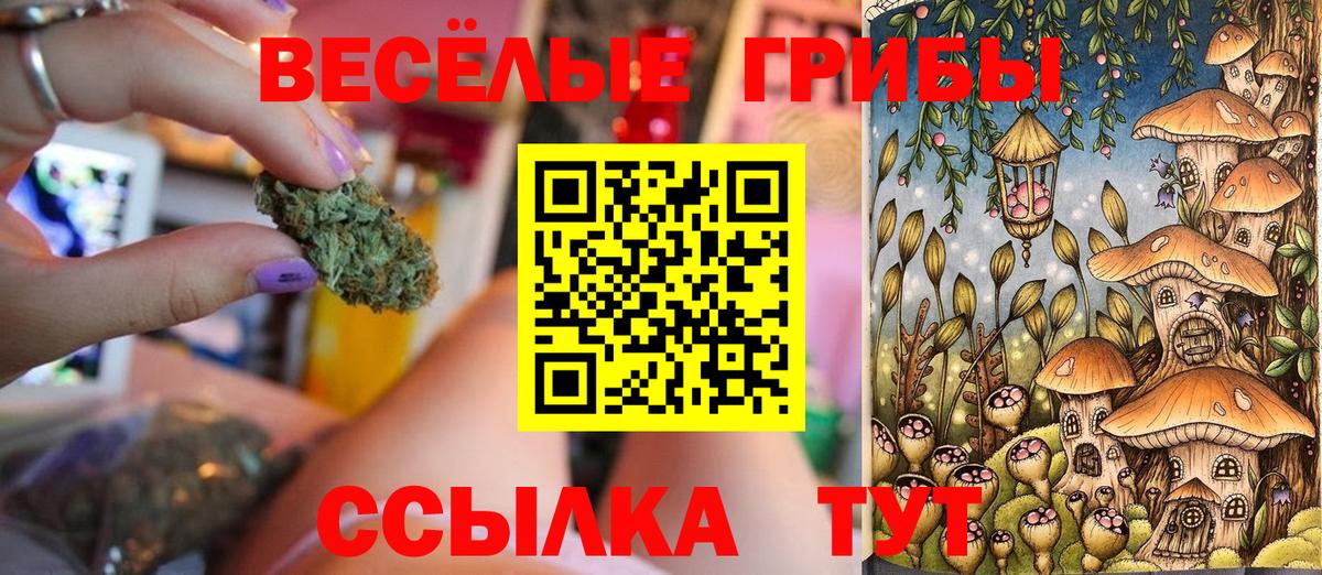 Галлюциногенные грибы Magic Shrooms  Вход с VPN  купить закладку  Псков  Галлюциногенные грибы прущие грибы 